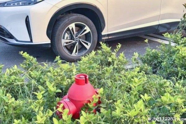 弹性停车位试点背后的技术逻辑与行业启示